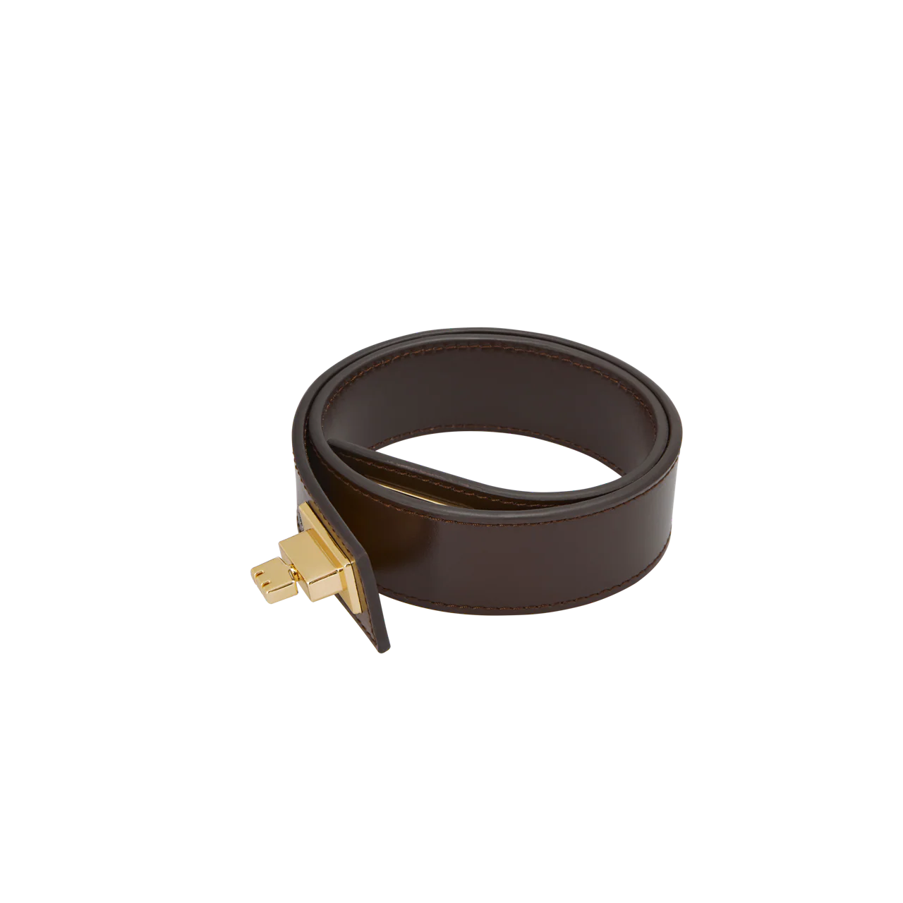 Gold Chocolate Hobo Bag - Image 20