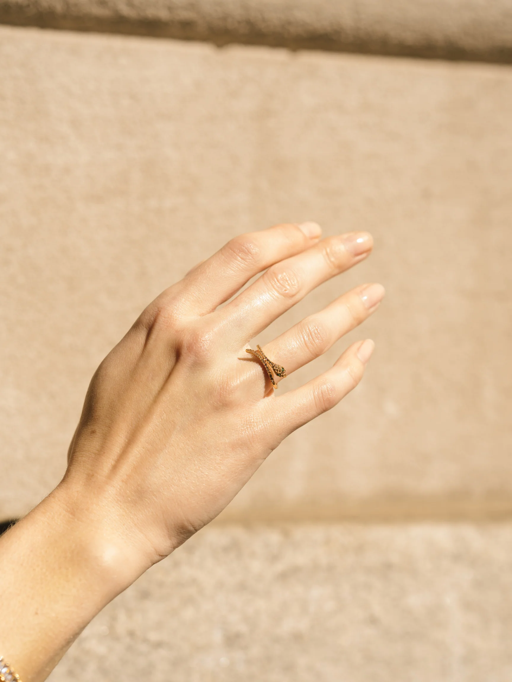 Snake Ring Set - Image 6